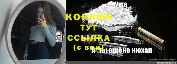 мет Богданович