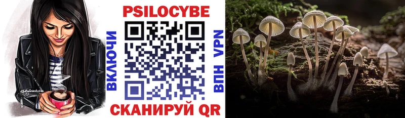 магазин    гидра маркетплейс  Псилоцибиновые грибы Magic Shrooms  Северская 